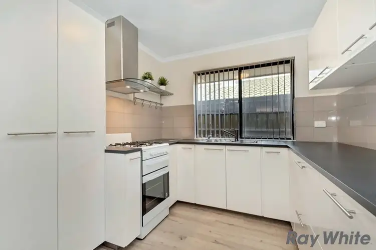 Main view of Homely house listing, 27 Causby Crescent, Willaston SA 5118