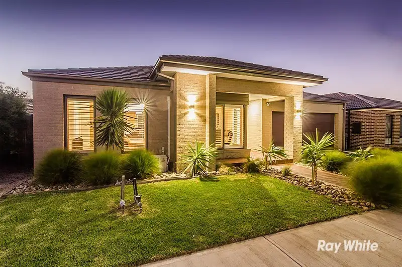 Main view of Homely house listing, 13 Rock Daisy Drive, Cranbourne West VIC 3977