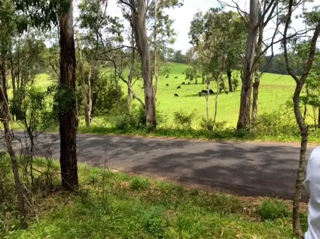 Third view of Homely rural property listing, 41 Eltons Road, Silverdale NSW 2752
