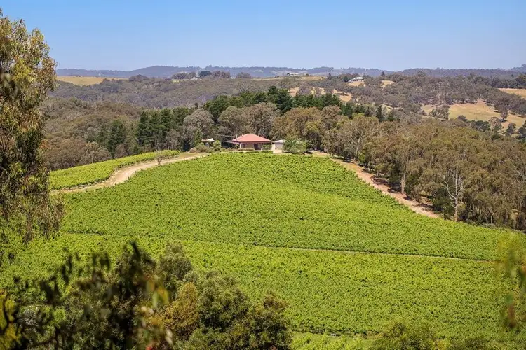 40 Howards Road, Panton Hill VIC 3759