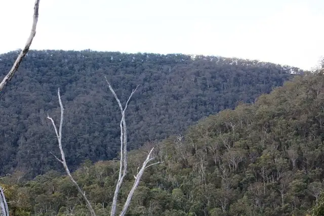 Fourth view of Homely rural property listing, 309 Upper Emu Creek Road, Emu Vale QLD 4371