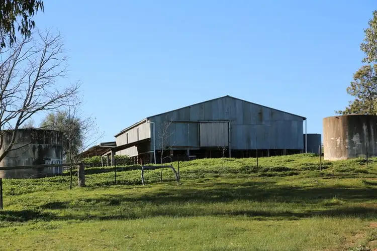 Fifth view of Homely rural property listing, 105 Peakview Road, Young NSW 2594