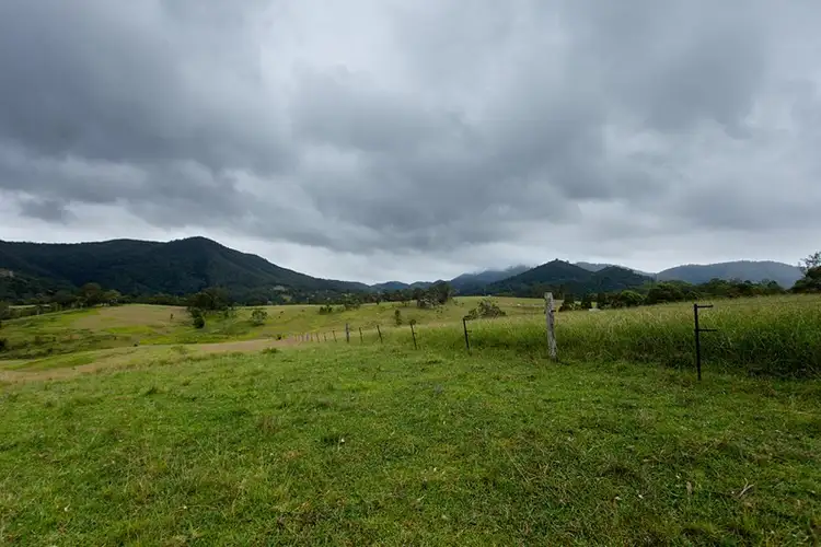 Seventh view of Homely rural property listing, 3041 Nowendoc Road, Wingham NSW 2429