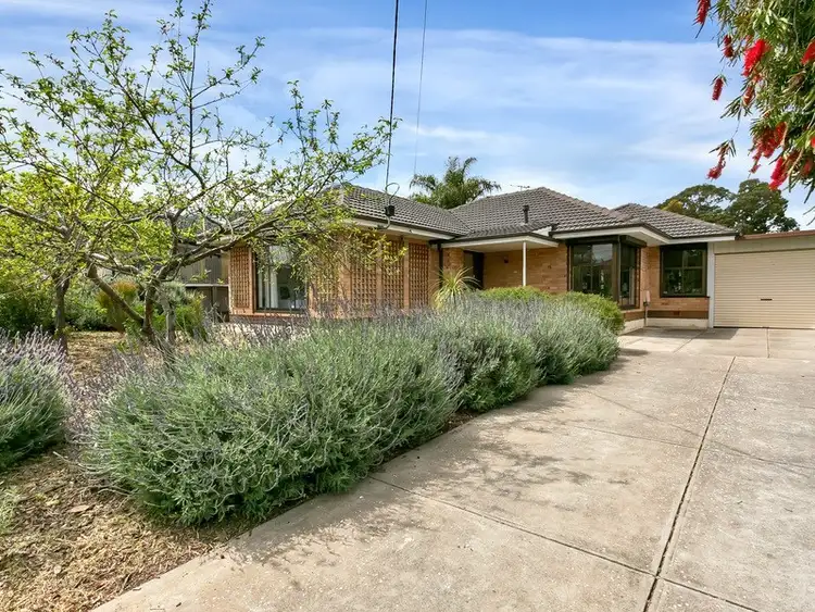 Main view of Homely house listing, 16 Deans Road, Campbelltown SA 5074