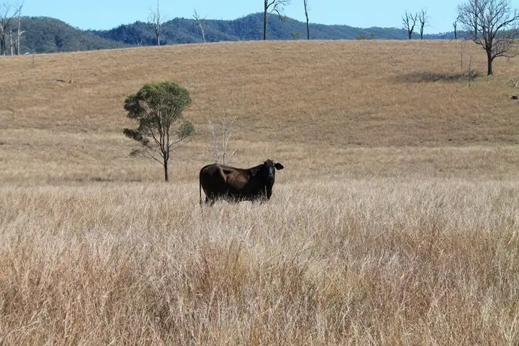 Main view of Homely rural property listing, "St Neots", 82 Rockemer Road, Cinnabar QLD 4600