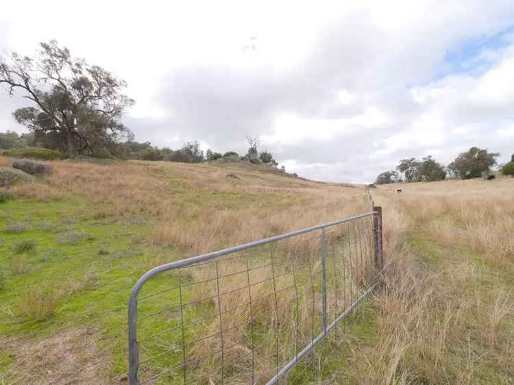 Sixth view of Homely rural property listing, 113 Mount McDonald Road, Darbys Falls NSW 2793