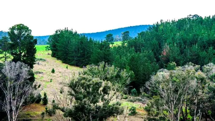 Fourth view of Homely house listing, Lot 21 McAlpine Mews, Nannup WA 6275