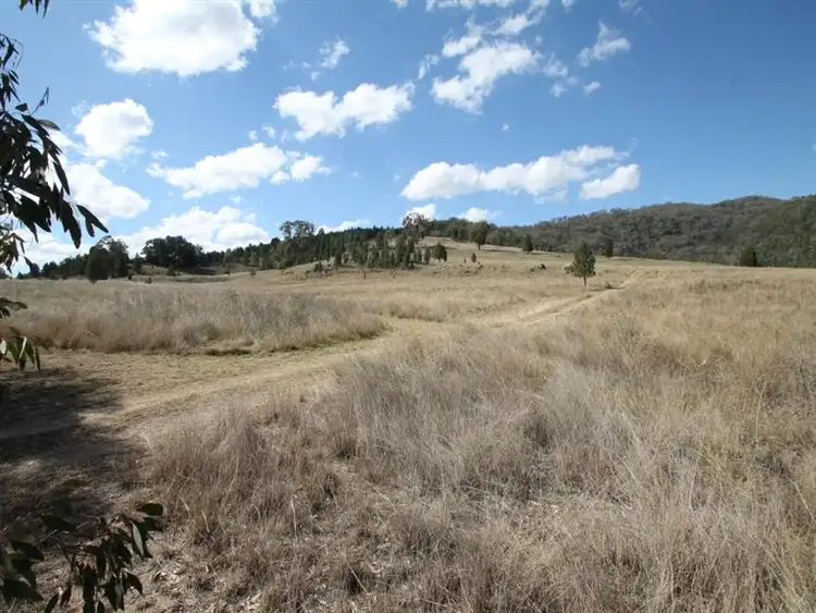 Seventh view of Homely rural property listing, 116 Callaghans Lane, Quirindi NSW 2343