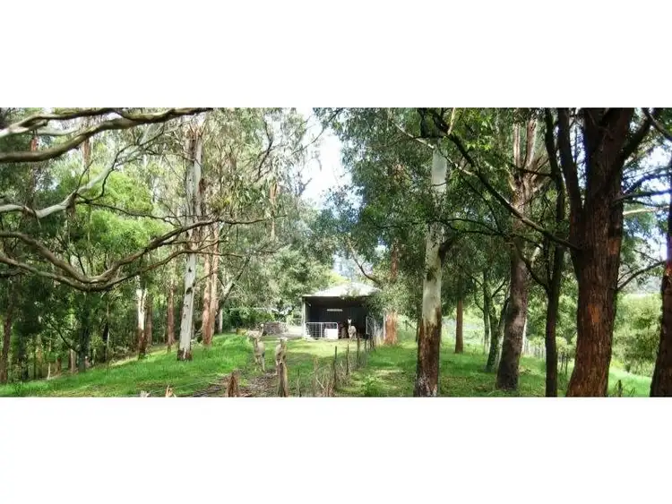 Main view of Homely rural property listing, 112 McIndoes Road, Dorrigo NSW 2453