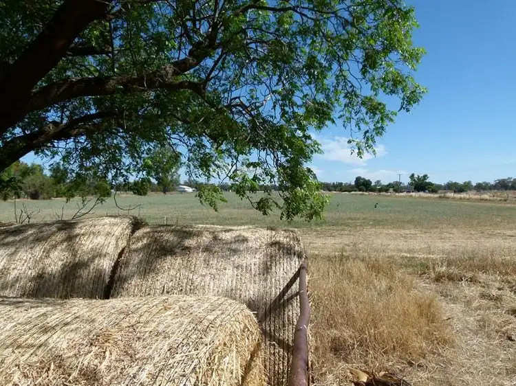 Third view of Homely house listing, 11526 Escort Way, Forbes NSW 2871