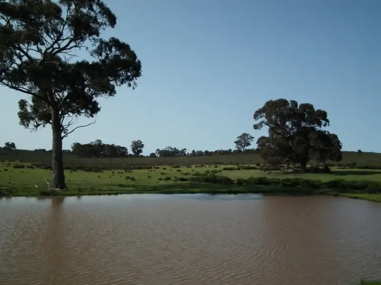 Main view of Homely rural property listing, "Buffalo" Buffalo Swamp Road, Kirwans Bridge VIC 3608