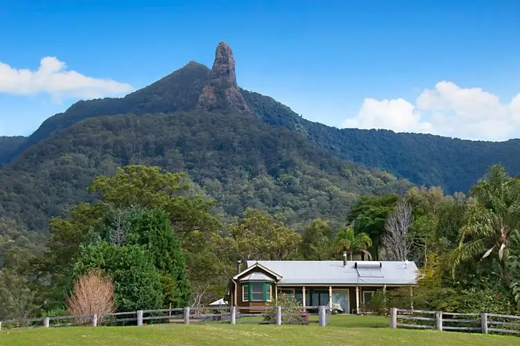 Third view of Homely rural property listing, 477 Pinnacle Road, Tyalgum NSW 2484