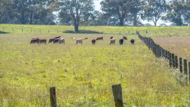 Third view of Homely rural property listing, Elderbury 250 Northbrook Road, Guyra NSW 2365