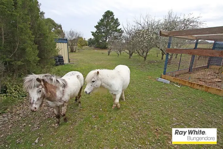 Fifth view of Homely house listing, 55 Merino Vale Drive, Wamboin NSW 2620