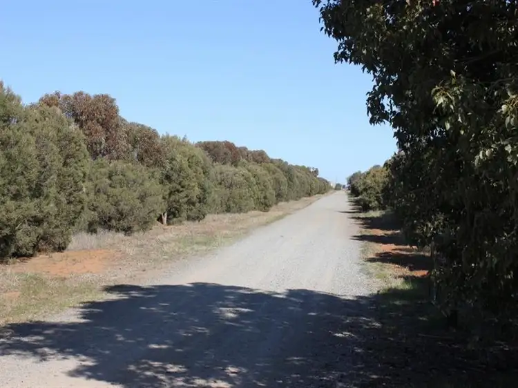 Fifth view of Homely rural property listing, 2179 Methul Road, Walleroobie NSW 2665