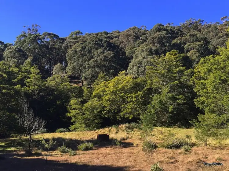 203 Tudor Valley, Braidwood NSW 2622