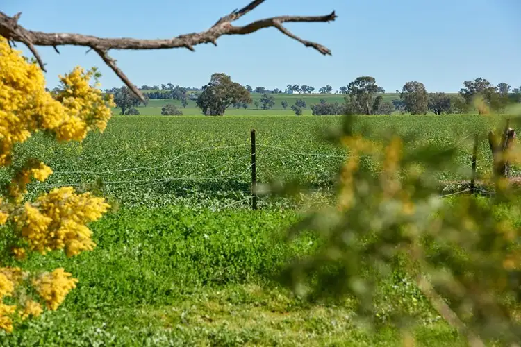 Sixth view of Homely land listing, 1509 Olympic Highway, Brucedale NSW 2650