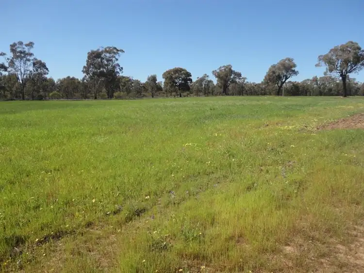 Second view of Homely rural property listing, Lot 12/915 Thanowring Road, Temora NSW 2666