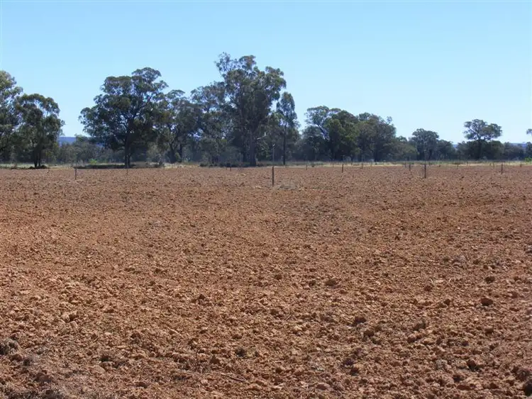 Fourth view of Homely rural property listing, 61 Farleigh Reserve Road, Cowra NSW 2794