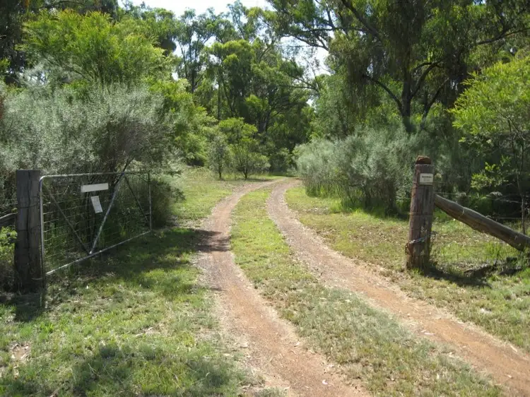 Main view of Homely rural property listing, 95 Cadell Road, Emmaville NSW 2371