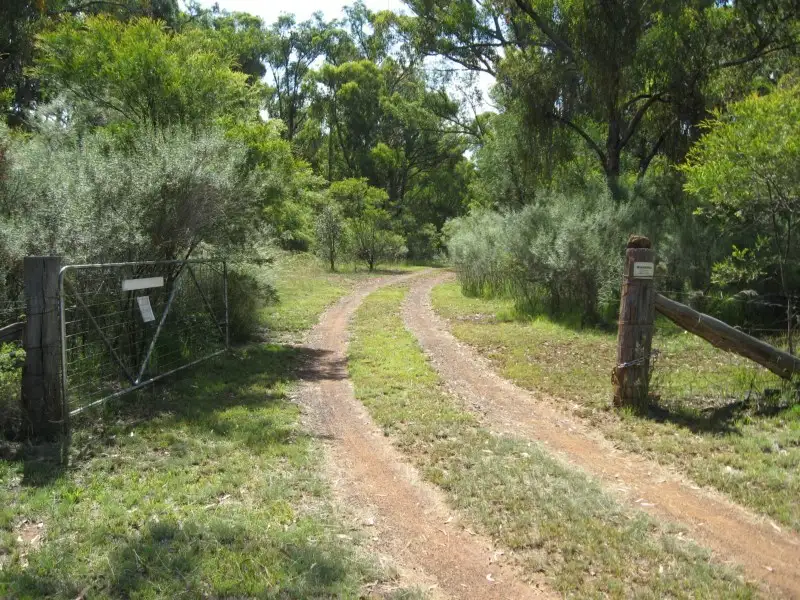 Main view of Homely rural property listing, 95 Cadell Road, Emmaville NSW 2371
