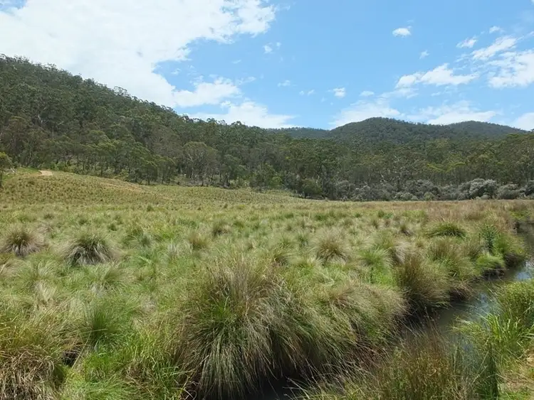 Fourth view of Homely rural property listing, Address available on request