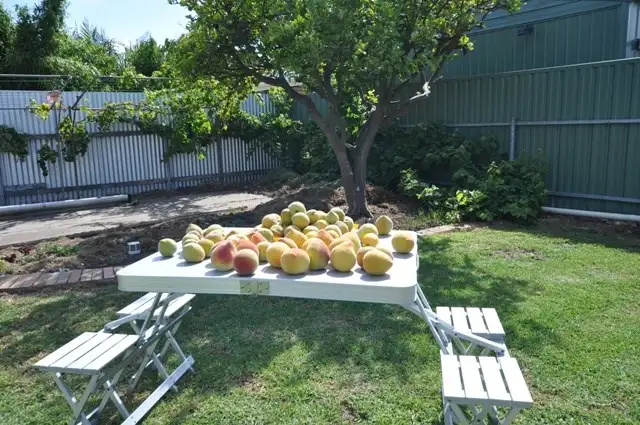 Fifth view of Homely house listing, 31 Butterworth Road, Aldinga Beach SA 5173