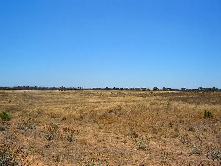 Main view of Homely land listing, Sec 729 Lynch Lane, Mypolonga SA 5254