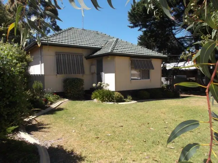 10 Devon Street, Manjimup WA 6258