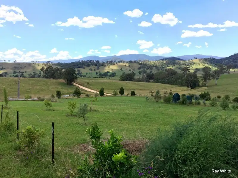 Main view of Homely rural property listing, 800 Neringla Road, Araluen NSW 2622