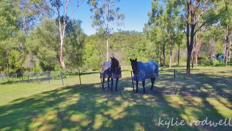 Second view of Homely house listing, 17 Barker Place, Kooralbyn QLD 4285