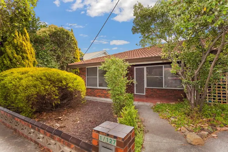 Main view of Homely house listing, 1/127 Minerva Road, Herne Hill VIC 3218