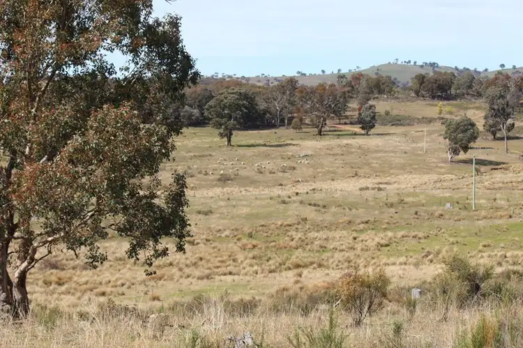 Fourth view of Homely rural property listing, 267 Slatterys Road, Bathurst NSW 2795