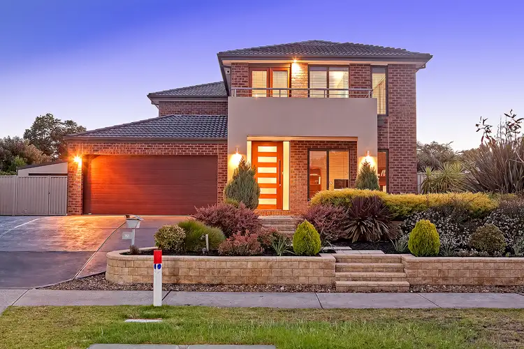 Main view of Homely house listing, 20 Black Wallaby Drive, Langwarrin VIC 3910