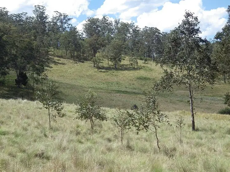 Fifth view of Homely rural property listing, 640 Harness Cask Road, Tyringham NSW 2453