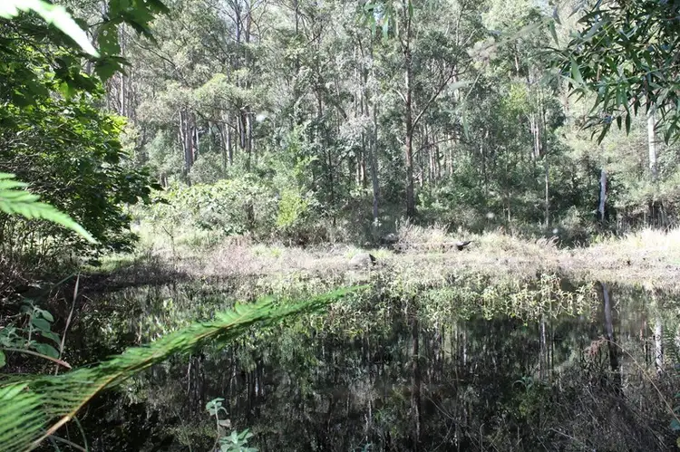 Third view of Homely land listing, 905c main Western Road, Tamborine Mountain QLD 4272