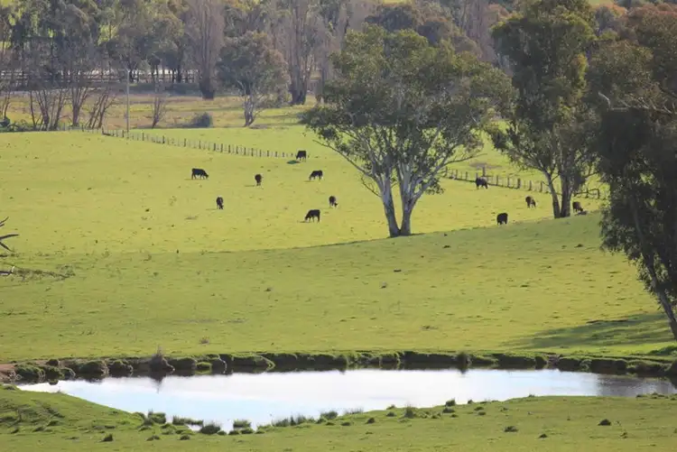 Sixth view of Homely rural property listing, Rosalie Hume Highway, Tarcutta NSW 2652