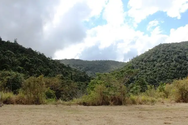Lot  95 Ashton Road, Gregory River QLD 4800