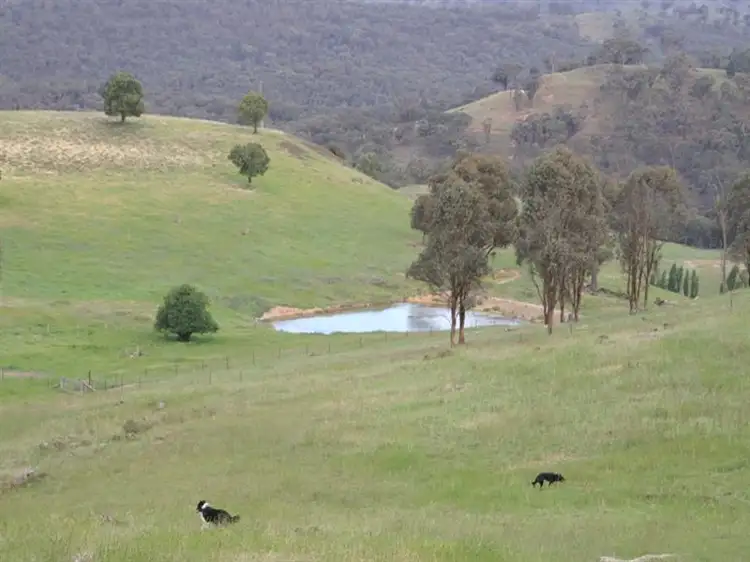 Main view of Homely rural property listing, 2345 Ophir Road, Orange NSW 2800