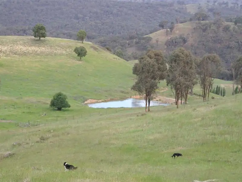 Main view of Homely rural property listing, 2345 Ophir Road, Orange NSW 2800