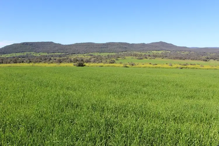 Fourth view of Homely rural property listing, Address available on request