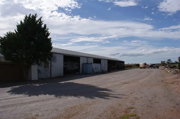 Sixth view of Homely rural property listing, 291 Steele Road, Bonniefield WA 6525