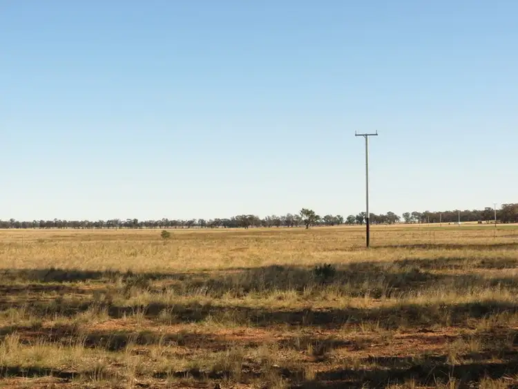 Fifth view of Homely rural property listing, 581 Slingers Lane, Temora NSW 2666