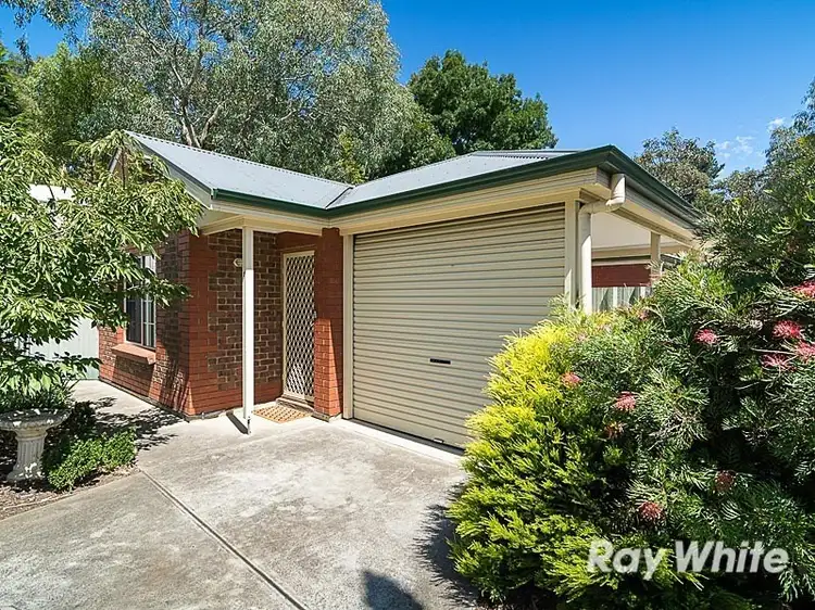Main view of Homely unit listing, 3/8 Springs Road, Mount Barker SA 5251