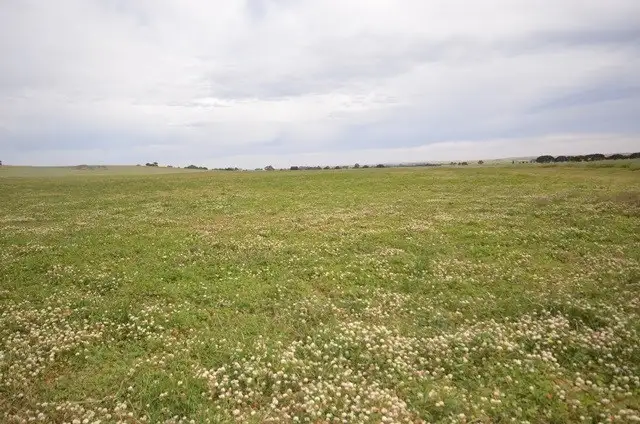 Fifth view of Homely rural property listing, "Toringa" Toringa Road, Farrell Flat SA 5416