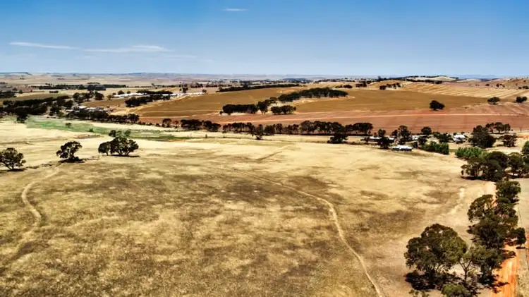 Second view of Homely rural property listing, "Tarnma Block" Curio Highway, Hampden SA 5374