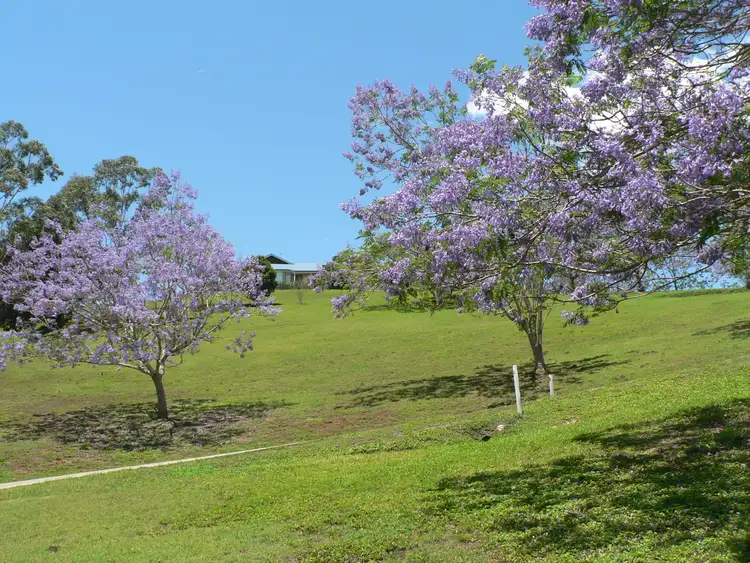 Sixth view of Homely house listing, 4 Blake Court, Mount Samson QLD 4520