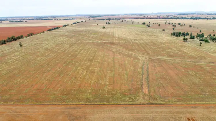 Third view of Homely rural property listing, Rocky Ponds, Matong North Road, Matong NSW 2652