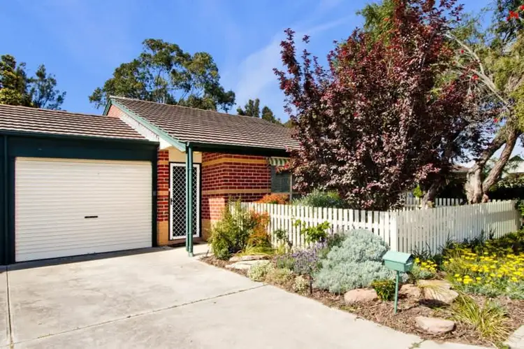 Main view of Homely unit listing, 7/16 William Street, Alberton SA 5014