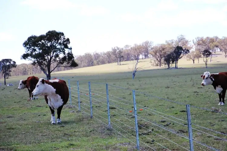 Sixth view of Homely rural property listing, 1436 "Apple Tree" Rockvale Road, Armidale NSW 2350